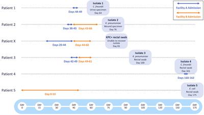 Nanopore MinION Sequencing Reveals Possible Transfer of blaKPC–2 Plasmid Across Bacterial Species in Two Healthcare Facilities